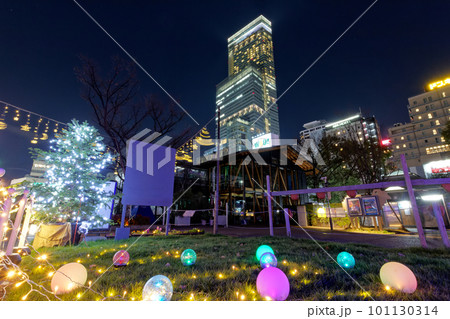 天王寺公園のイルミネーションとあべのハルカスの夜景 101130314