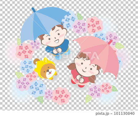Children with umbrellas and Shiba Inu surrounded by hydrangeas 101130840