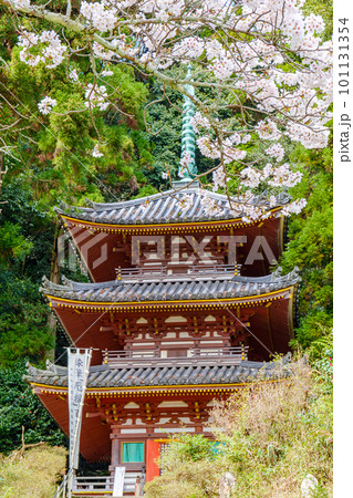 【奈良県】大和郡山市 松尾寺  (2023/03/27撮影) 101131354