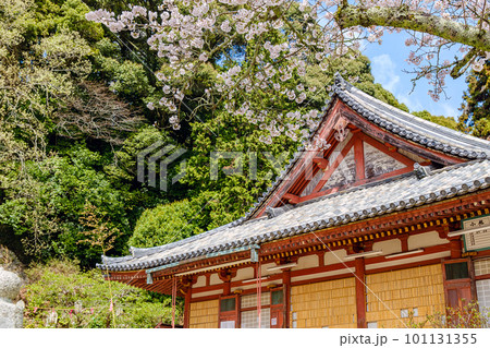 【奈良県】大和郡山市 松尾寺  (2023/03/27撮影) 101131355