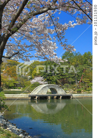 広島縮景園 101131930