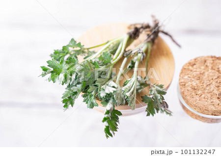 摘み取った新鮮なヨモギ 摘み取った新鮮なヨモギ 101132247