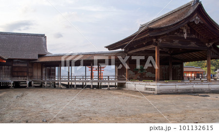 橋掛越しに大鳥居がのぞく能舞台 厳島神社 世界遺産 橋掛越しに大鳥居がのぞく能舞台 厳島神社 世界遺産 101132615