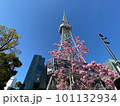 桜越しに見る名古屋テレビ塔 101132934