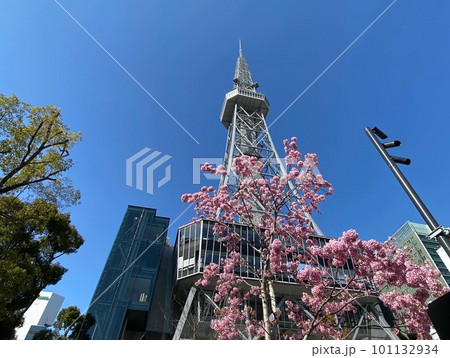 桜越しに見る名古屋テレビ塔 桜越しに見る名古屋テレビ塔 101132934