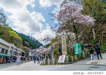 桜咲く清滝駅前風景 桜咲く清滝駅前風景 101133307