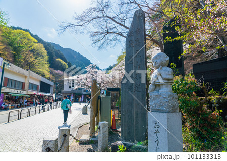桜咲く清滝駅前風景 101133313