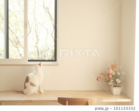 窓辺でお座りする猫 窓辺でお座りする猫 101133332