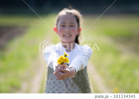 タンポポの花を差し出す少女 101134345