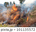 野焼き 101135572