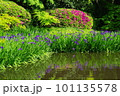 カキツバタの池 101135578