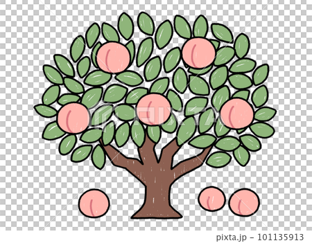 ももの木のイラスト ももの木のイラスト 101135913