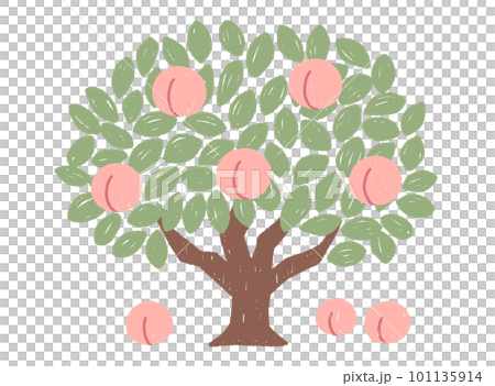 桃の木のイラストのイラスト素材 [101135914] - PIXTA