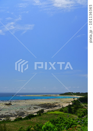 奄美大島の海~あやまる岬から土盛海岸を眺める~ 奄美大島の海~あやまる岬から土盛海岸を眺める~ 101136365