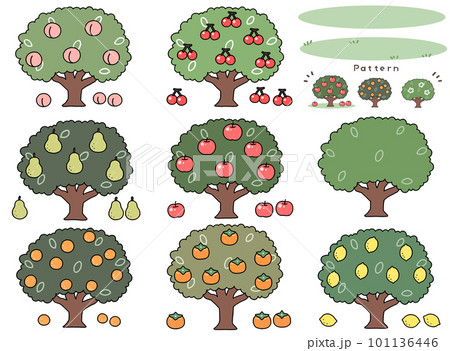 主線のある果物の木のセットイラスト 101136446