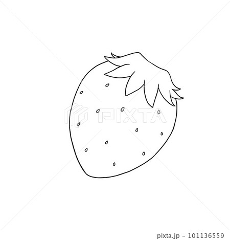 イチゴの線画イラスト素材 101136559