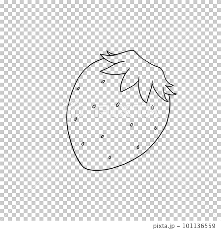 イチゴの線画イラスト素材 101136559