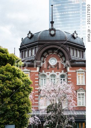 東京駅・丸の内駅舎の春・桜 東京駅・丸の内駅舎の春・桜 101137850