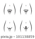 Lower half female body shape outline realistic for bikini waxing content. 101138859