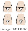 Lower half female body shape and bikini outline realistic for bikini waxing content. 101138860