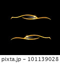 Gold Car Logo Vector icon 101139028
