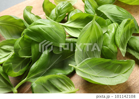 Fresh basil leaves on wooden table, closeup Fresh basil leaves on wooden table, closeup 101142108
