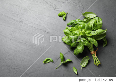 Fresh basil on grey table, flat lay. Space for text Fresh basil on grey table, flat lay. Space for text 101142109