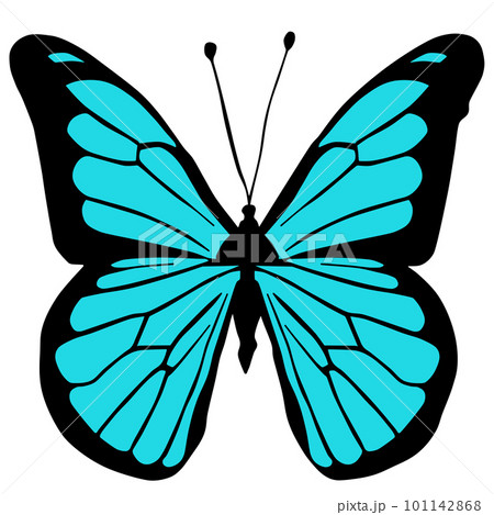 ちょうちょ_カラフルな蝶々のイラスト素材 [101142868] - PIXTA