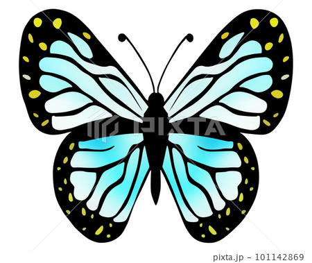 ちょうちょ_カラフルな蝶々のイラスト素材 [101142869] - PIXTA