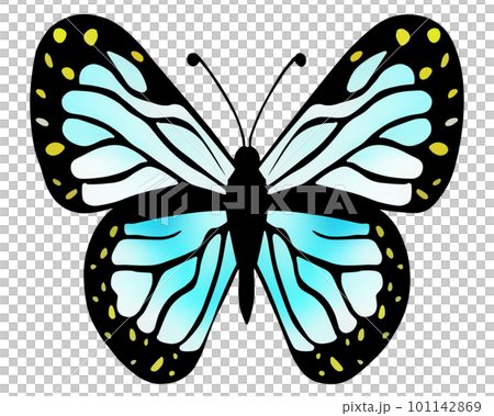 ちょうちょ_カラフルな蝶々のイラスト素材 [101142869] - PIXTA