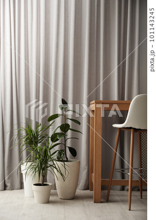 Beautiful potted plants near wooden table in room Beautiful potted plants near wooden table in room 101143245