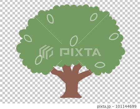 Color illustration without the main line of a simple tree overgrown with simplified leaves 101144699