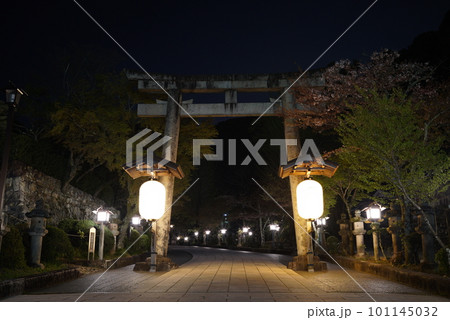 春の桜の頃の伊奈波神社の参道 春の桜の頃の伊奈波神社の参道 101145032