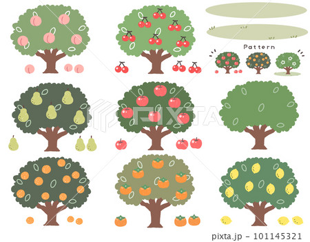 いろいろな果物の木の主線のないカラーイラスト 101145321