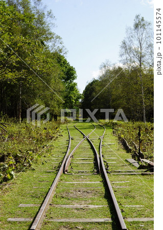 旧士幌線廃線跡の風景 幌加駅付近 旧士幌線廃線跡の風景 幌加駅付近 101145574