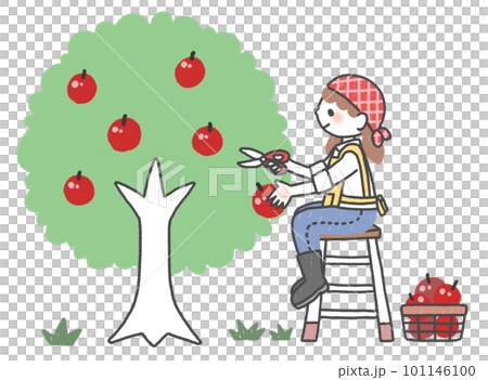 一個女人收穫蘋果的卡通片 一個女人收穫蘋果的卡通片 101146100