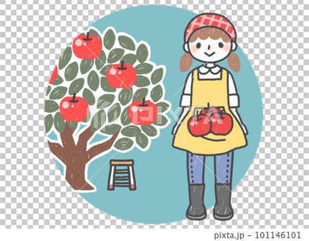 りんごを収穫する女性のカットイラスト 101146101