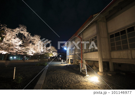 桜咲くブリュナ館 101146977