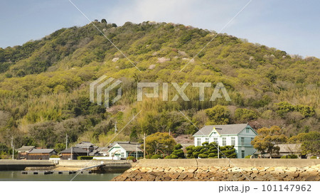 粟島（香川県）粟島港から城ノ山方向の眺め1 101147962
