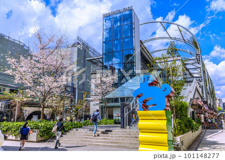 日本の東京都市景観 渋谷駅前の宮下公園。桜も満開＝3月29日、宮下公園 101148277
