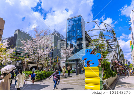 日本の東京都市景観 渋谷駅前の宮下公園。桜も満開＝3月29日、宮下公園 101148279