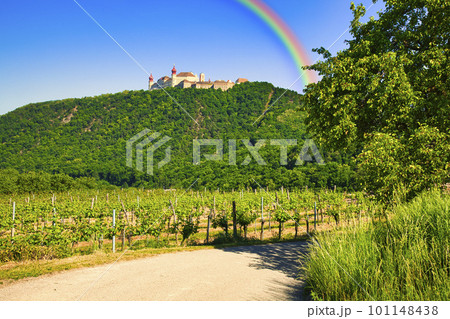 ヴァッハウ渓谷のゴドウィック修道院 101148438