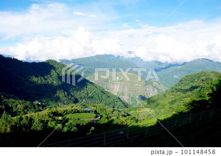 台湾　阿里山山脈と茶畑の風景 101148458
