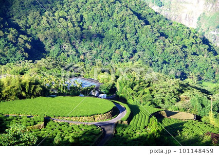 台湾 阿里山山脈と茶畑の風景 台湾 阿里山山脈と茶畑の風景 101148459