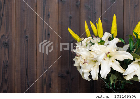 white lilly flower yellow bud decoration on dark pine wooden panel blank space background for advertising 101149806