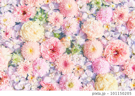 行田市花手水 101150205