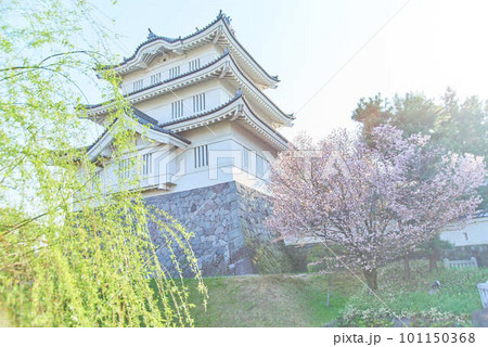 行田市忍城と桜 行田市忍城と桜 101150368