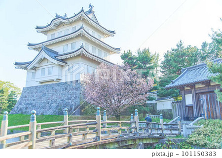 行田市忍城と桜 行田市忍城と桜 101150383