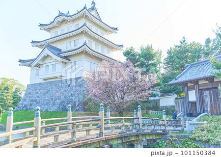 行田市忍城と桜 101150384