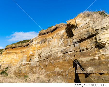 日本のドーバー　千葉県屛風ヶ浦の約250万年前の地層 101150419
